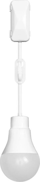 LEDVANCE LED Leuchtmittel in Glühlampenform mit 10 W und 4000 Lumen in Weiß - Bild 1
