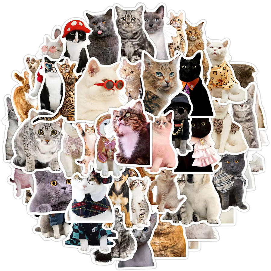 50 Stück wasserfeste Kätzchen-Graffiti-Aufkleber im Cartoon-Stil von BulingBulingStickers Store, Mehrfarbig - Bild 2