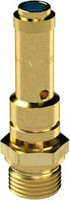 Riegler Sicherheitsventil DN 8 aus Messing in Gold, G 3/8, Ansprechdruck 2 bar - Bild 1