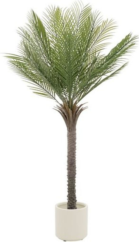 Künstliche Tropenpalme ML-Design in Grün und Braun, 150 cm Höhe, im Topf - Bild 1