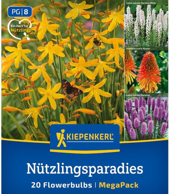 Kiepenkerl Blumenzwiebelmischung Nützlingsparadies, 20 Stück, bunt - Bild 1
