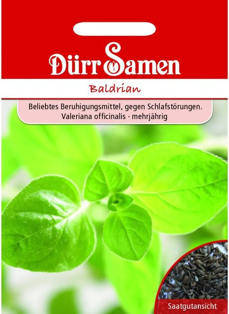 Dürr Baldrian Saatgut für den Garten - Bild 1