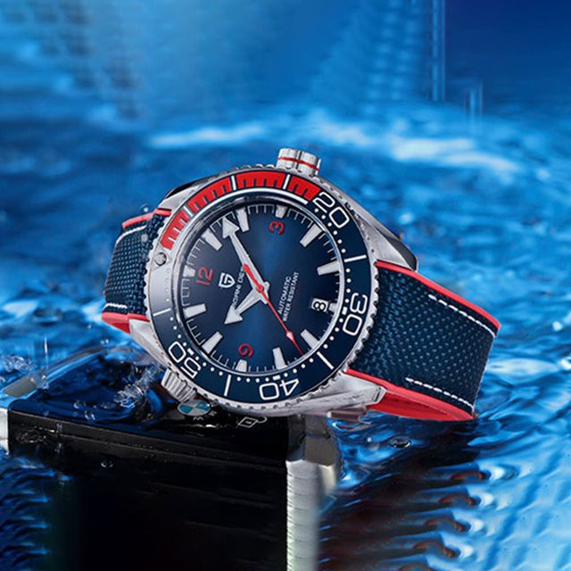 PAGANI DESIGN Armbanduhr, Automatik, Edelstahl, Saphirglas, Herren - Bild 1
