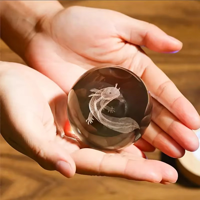 3D Salamander Kristallkugel mit Holzlampenhalter als transparentes Nachtlicht zur Schlafzimmerdekoration - Bild 4