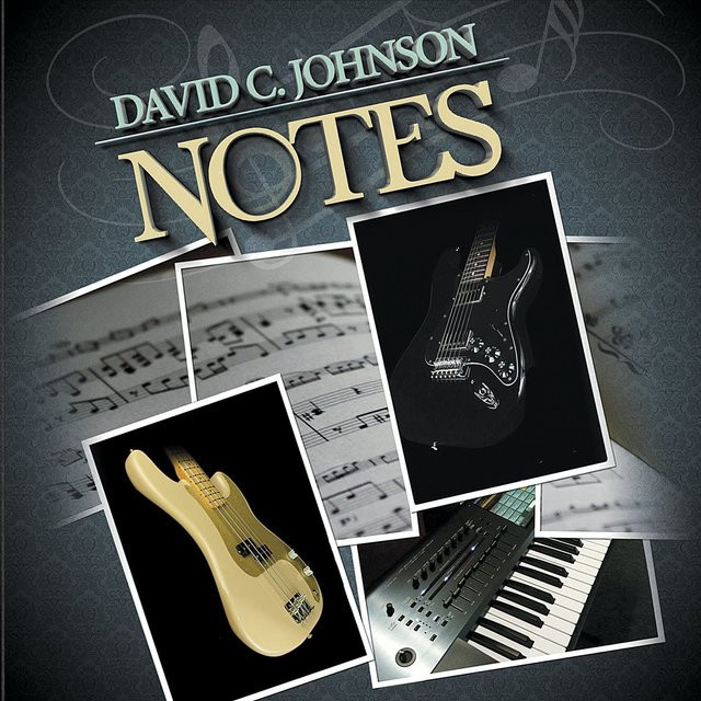 Notizen von David C. Johnson, CD, schwarz - Bild 1