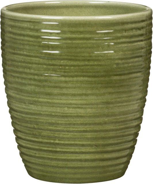 Scheurich Orchideengefäß aus Glas in Olive mit Rillenstruktur, Durchmesser: 12,3 cm, Höhe: 14 cm - Bild 1