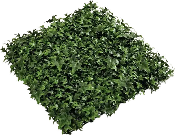 Künstliche Efeu Matte Peer von Aplanta, Breite: 50 cm, Tiefe: 50 cm, Höhe: 50 cm - Bild 1