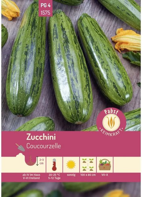 Pabst Keimkraft Zucchini Saatgut Coucourzelle wüchsig und rankenlos - Bild 1