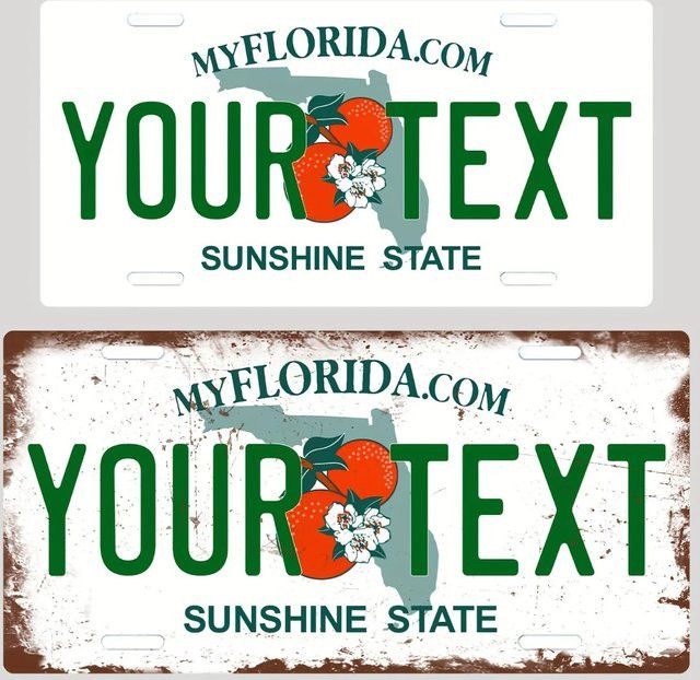 Personalisierbares Retro-Florida-Nummernschild aus Aluminium von Hello Young in Weiß zur Wandmontage - Bild 1