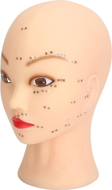 Koogeelife Übungskopf für Wimpernverlängerung, beige, mit PVC-Basis - Bild 1