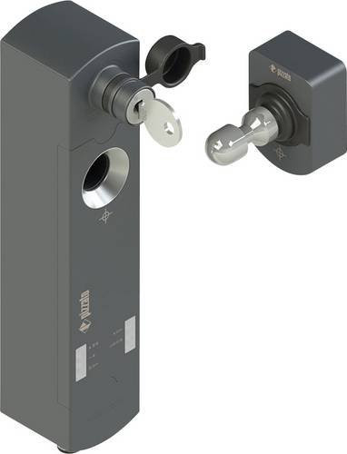 Pizzato Elettrica Sicherheitsschalter NS D3AZ1SQK-F41 in Grau mit 24 V/DC, B/H/T: 40 x 145,5 x 38,5 mm - Bild 1