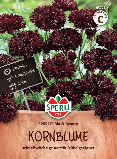SPERLI Kornblumen-Samen Black Beauty in Schwarz - Bild 1