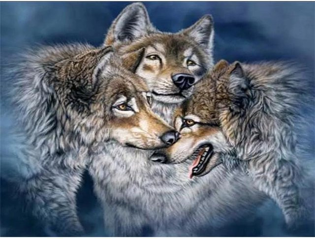 FIYO Diamant-Malerei Wolf Diamant-Mosaik-Set, Farbe: Schwarz/Mehrfarbig, B/H: 30 x 20 cm - Bild 1