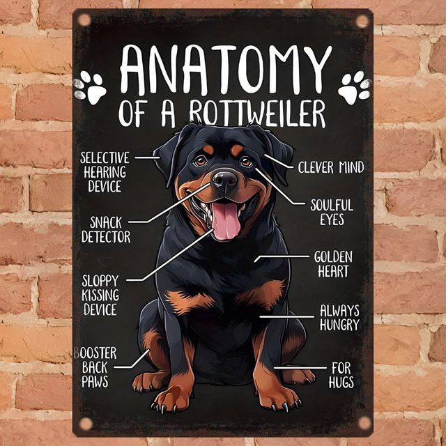 Vintage Rottweiler Anatomie Metall-Wandkunst von Potdemiel in Schwarz, B: 20,3 cm, H: 30,5 cm - Bild 1