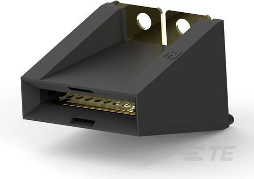 TE Connectivity 1926671-1 in Schwarz und Gold - Bild 1