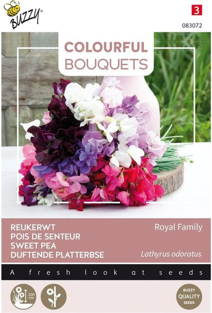 Arborix Duftwicke Royal Family Buzzy Colourful Bouquets Samen für duftende Schnittblumen, 5 g - Bild 1