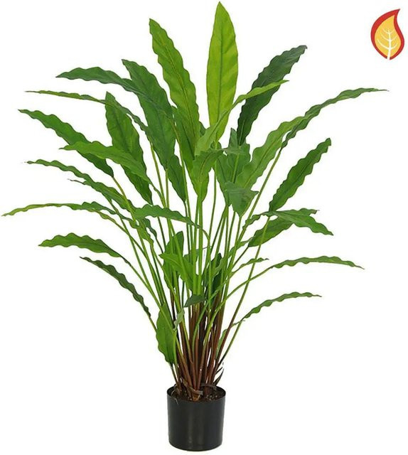 Künstliche Calathea Lothar von Aplanta in Grün, Höhe: 77 cm - Bild 1