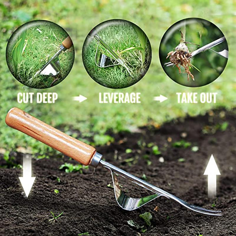 Manueller Unkrautjäter aus Edelstahl und Holz zum Entfernen von Unkraut und Löwenzahn im Garten - Bild 2