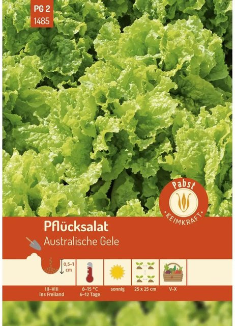 Pabst Keimkraft Pflücksalat Saatgut Spätschossend und Ertragreich 6,0 g - Bild 1