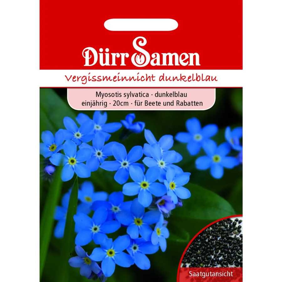 Dürr Vergissmeinnicht Saatgut Blau Einjährig 400 g - Bild 2