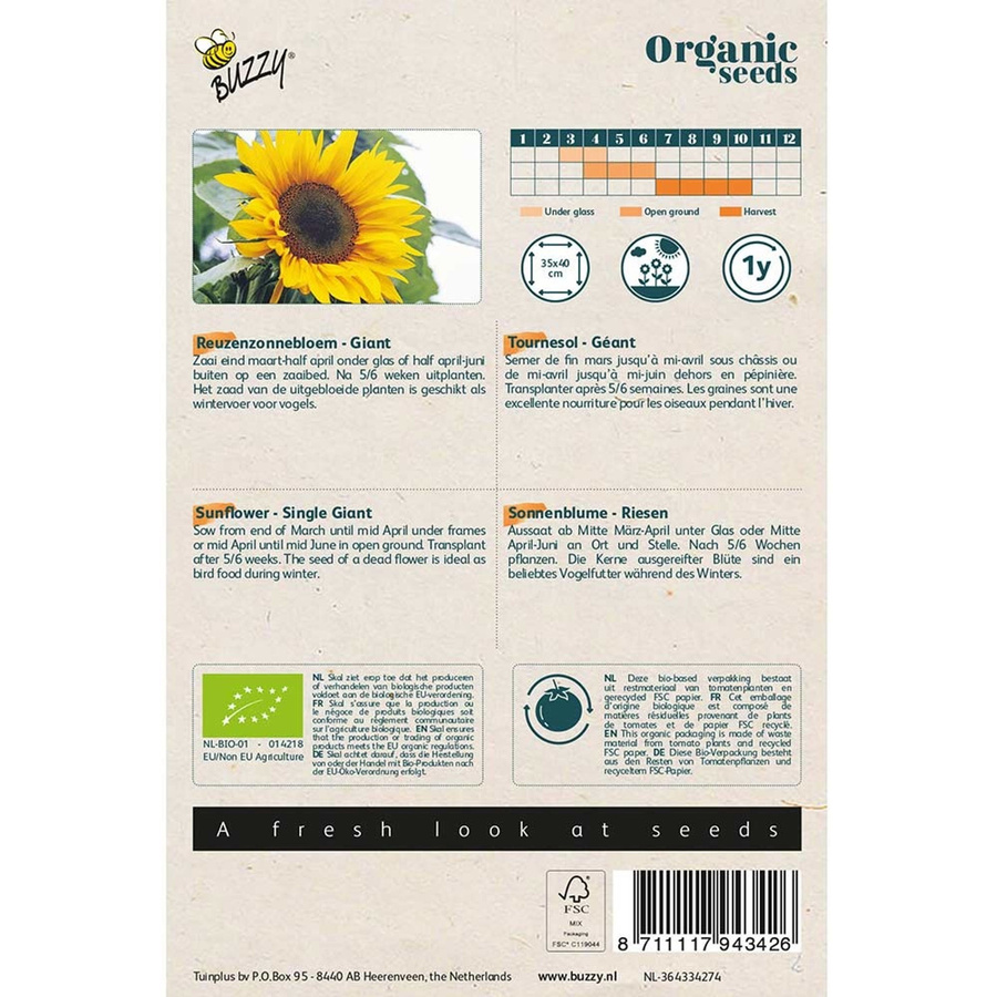 Buzzy Organic Sonnenblume Riesen Bio Blumensamen für den Garten - Bild 2
