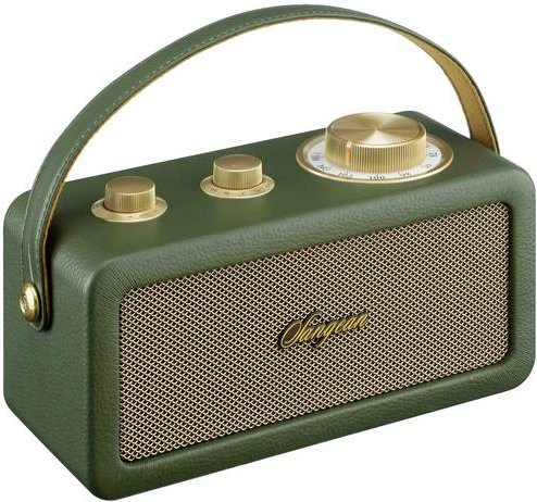Sangean RA-101 Akku-Radio mit FM und Bluetooth in Grün und Gold - Bild 1