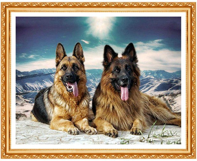 FIYO 5D DIY Diamantstickerei Set Deutscher Schäferhund Motiv in Multicolour, Breite: 40 cm, Höhe: 50 cm - Bild 1
