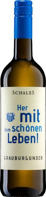 Schales Weißwein Pinot Grigio, Rheinhessen, trocken, 2024, 0,75 l - Bild 1