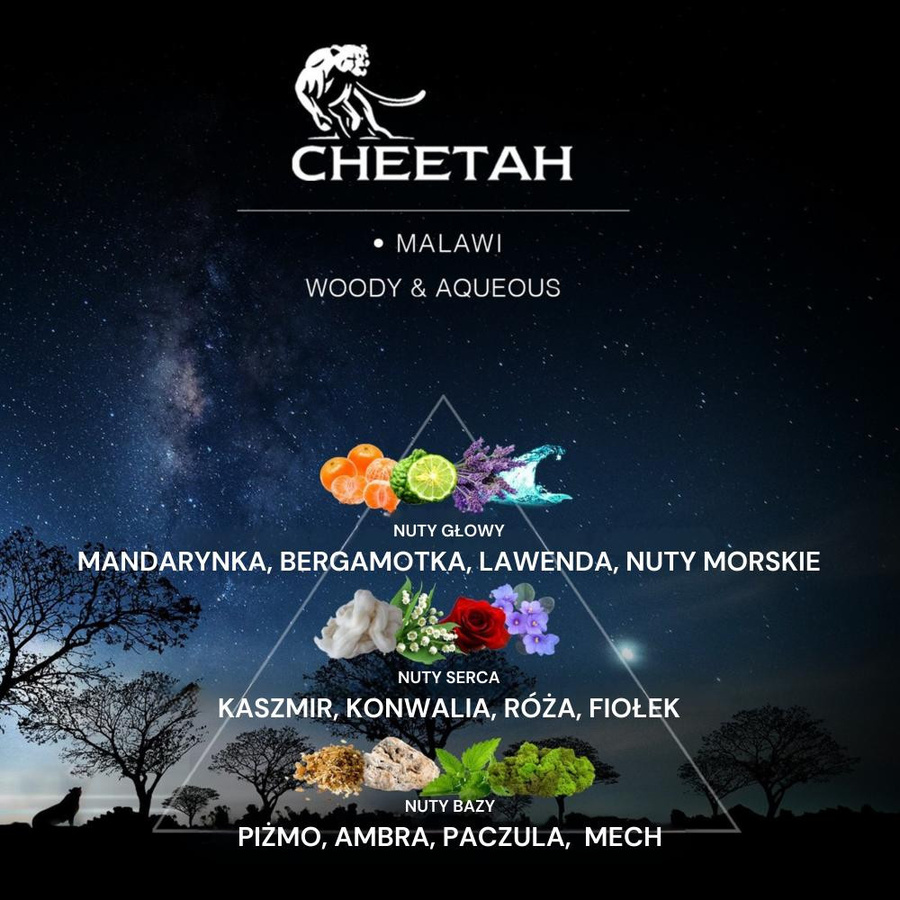 Cheetah Malawi Deodorant Spray, 150 ml, Herren - Bild 5