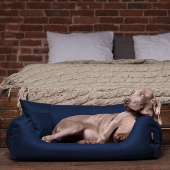 Tierlando NEMO Hundebett Hundesofa in Dunkelblau mit abnehmbarem Bezug und erhöhter Kante, B/T/H: 65 x 80 x 20 cm - Bild 2