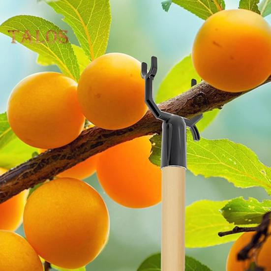8 Stück Aststützen aus Metall in Schwarz für Obstbäume und Garten - Bild 4