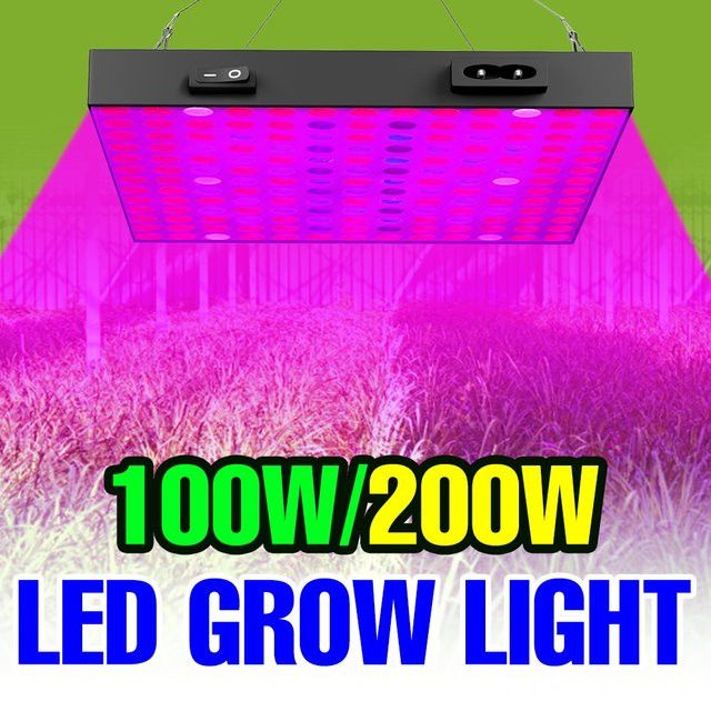 200 W Full Spectrum LED Quantum Board Pflanzenlampe für Indoor Gewächshäuser und Hydrokulturanbau - Bild 1