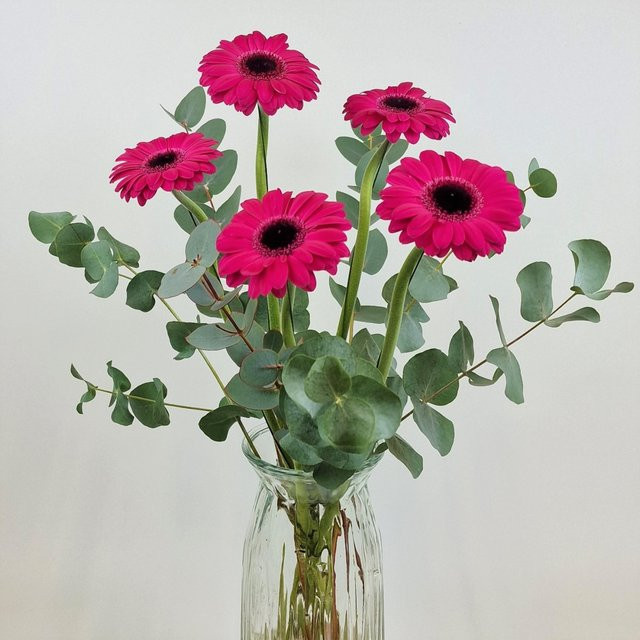 Blumenstrauß Gerbera Pink mit Eucalyptus - Bild 1