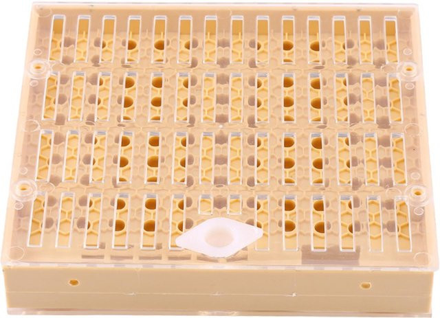 Fishine Bienenzucht Königinnen Aufzucht Box mit Zellen und Kappen in Beige - Bild 1
