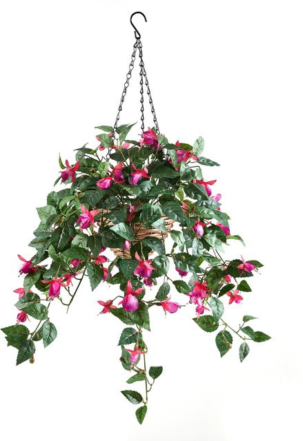 Künstliche Hänge-Fuchsie von Aplanta, Höhe: 80 cm - Bild 1