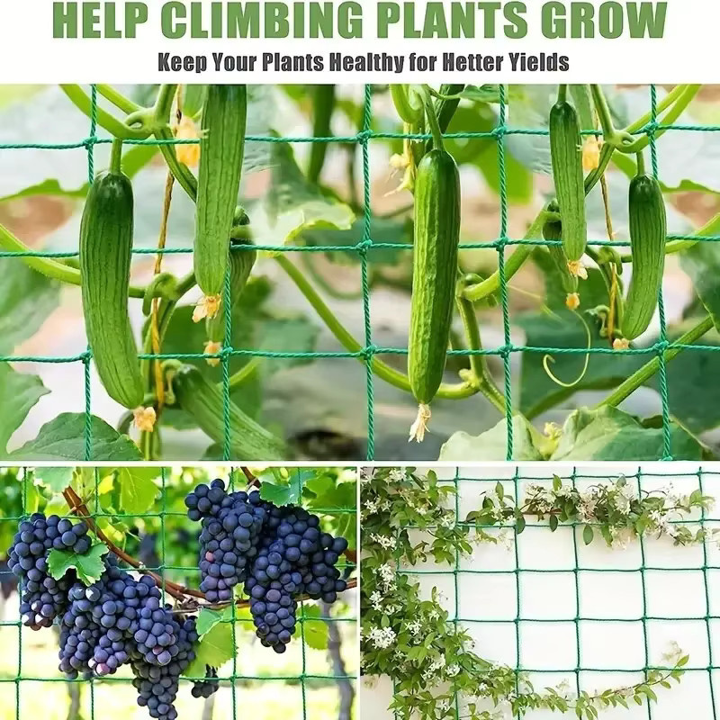 Grünes Nylon-Gartennetz als Kletternetz und Wachstumshalter für Blumen, Weinpflanzen und Gemüse - Bild 2