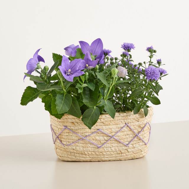 Rustikaler Korb von BLUME2000 in Lila für Tischdekoration und Garten - Bild 1