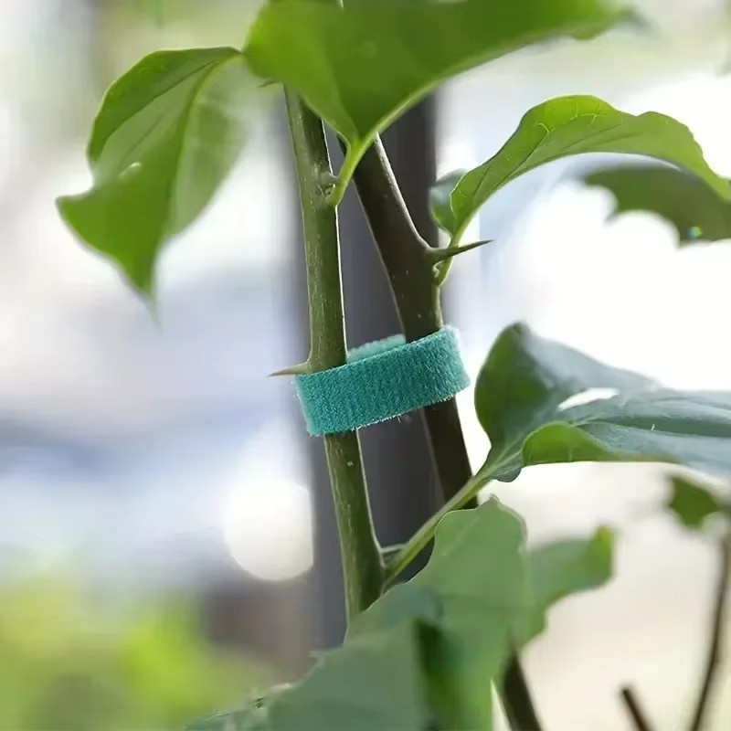 Selbstklebende Nylon-Kabelbinder für Pflanzen in Grün, wiederverwendbare Gartenschnur zur Pflanzenunterstützung aus Kunststoff - Bild 2