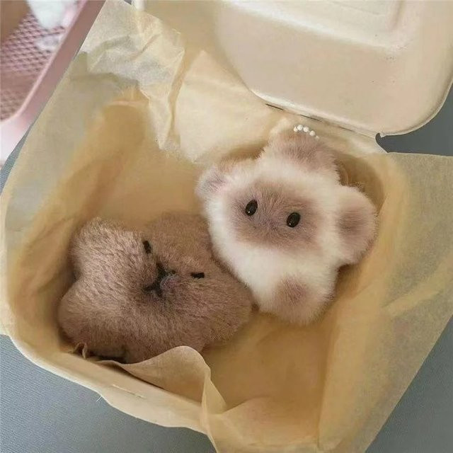 Capybara-Stern-Plüsch-Anhänger, Unisex - Bild 1