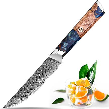 Xituo Damaskus Schälmesser aus VG10-Stahl mit blauem Harzgriff, 12,7 cm