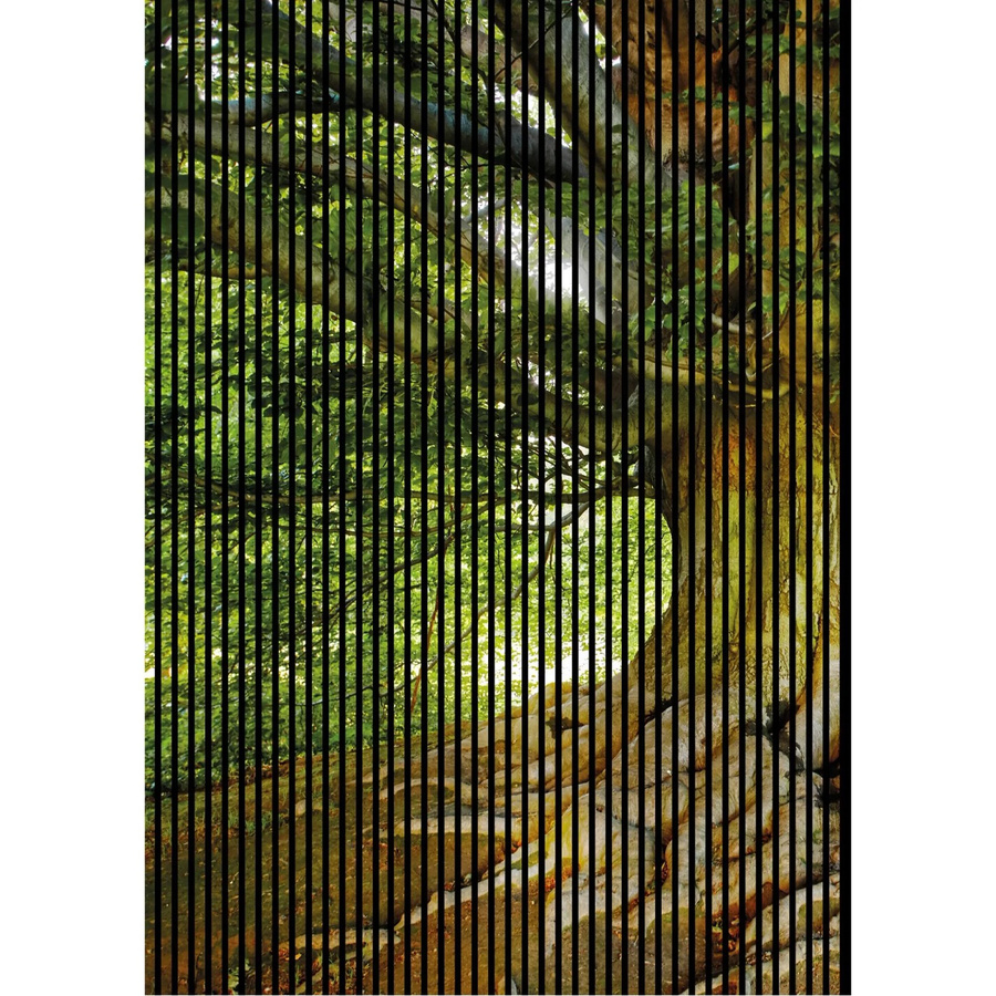 FN Acustico Akustikplatte Baum Design aus PET und MDF, Multicolor, H x B x T: 2.400 x 1.693 x 19 mm - Bild 2