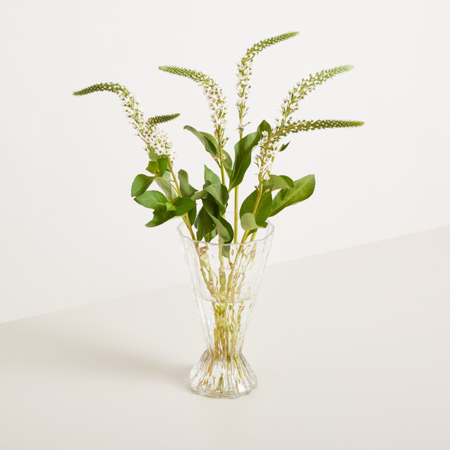 Moderne Glas Vase von BLUME2000 Transparent Breit Zulaufend Höhe: 28,0 cm, Breite: 15,5 cm, Tiefe: 1,0 cm - Bild 1