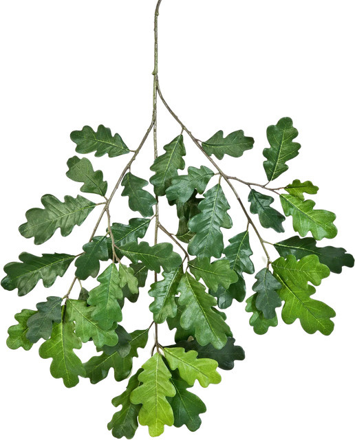 Künstlicher Eichen-Zweig Gina von Aplanta, Höhe: 60 cm - Bild 1