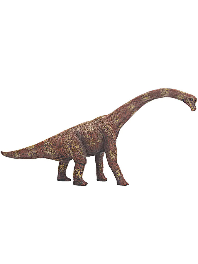 XIALIBAOMOWAN Prähistorische Jurassic großer Brachiosaurus Dinosaurier Modell, Actionfigur, Kunststoff - Bild 4