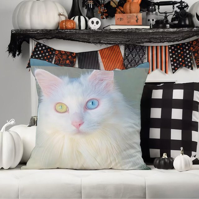 Dekorativer Katzen Kissenbezug aus Peach Skin für Sofa, Auto und Schlafzimmer, B/B/H: 18 x 18 x 18 cm - Bild 1
