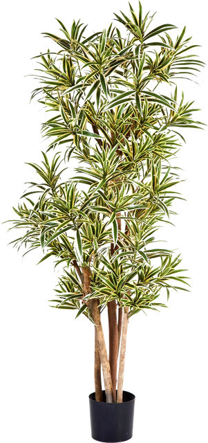 Künstlicher Drachenbaum Reflexa Nikita von Aplanta, Höhe: 120 cm - Bild 1