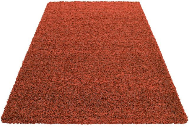 Ayyildiz Hochflorteppich Life Shaggy Terra Terrakotta B/L: 80 x 250 cm - Bild 1