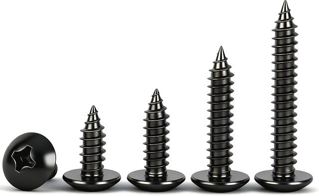 EDGAR GARY Selbstschneidende Kreuzschlitzschrauben mit Flachkopf aus schwarzem Kohlenstoffstahl, Set mit M2,3 bis M6 - Bild 1