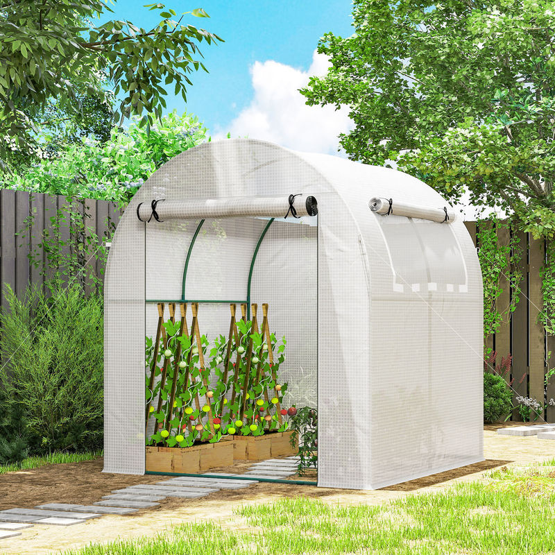 Outsunny Gewächshaus Foliengewächshaus mit aufrollbarer Tür und Fenstern sowie UV-Schutz für Garten und Balkon, H x B x T: 2 x 1,8 x 1,8 m, Weiß - Bild 2