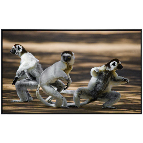 papermoon Infrarotheizung EcoHeat Tanzende Sifakas in Bunt mit Matt-Effekt, App-Steuerung und Überhitzungsschutz - Bild 2